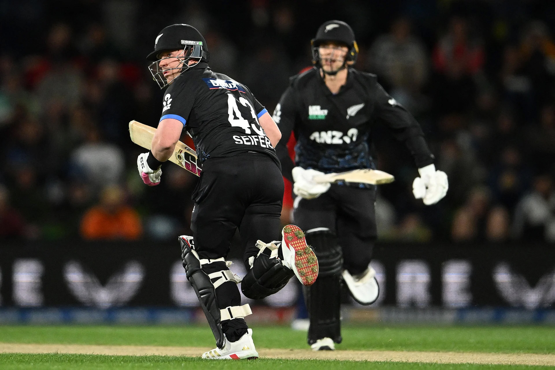 সেইফার্ট–চ্যাপম্যান রানের জন্য ছুটছেন।