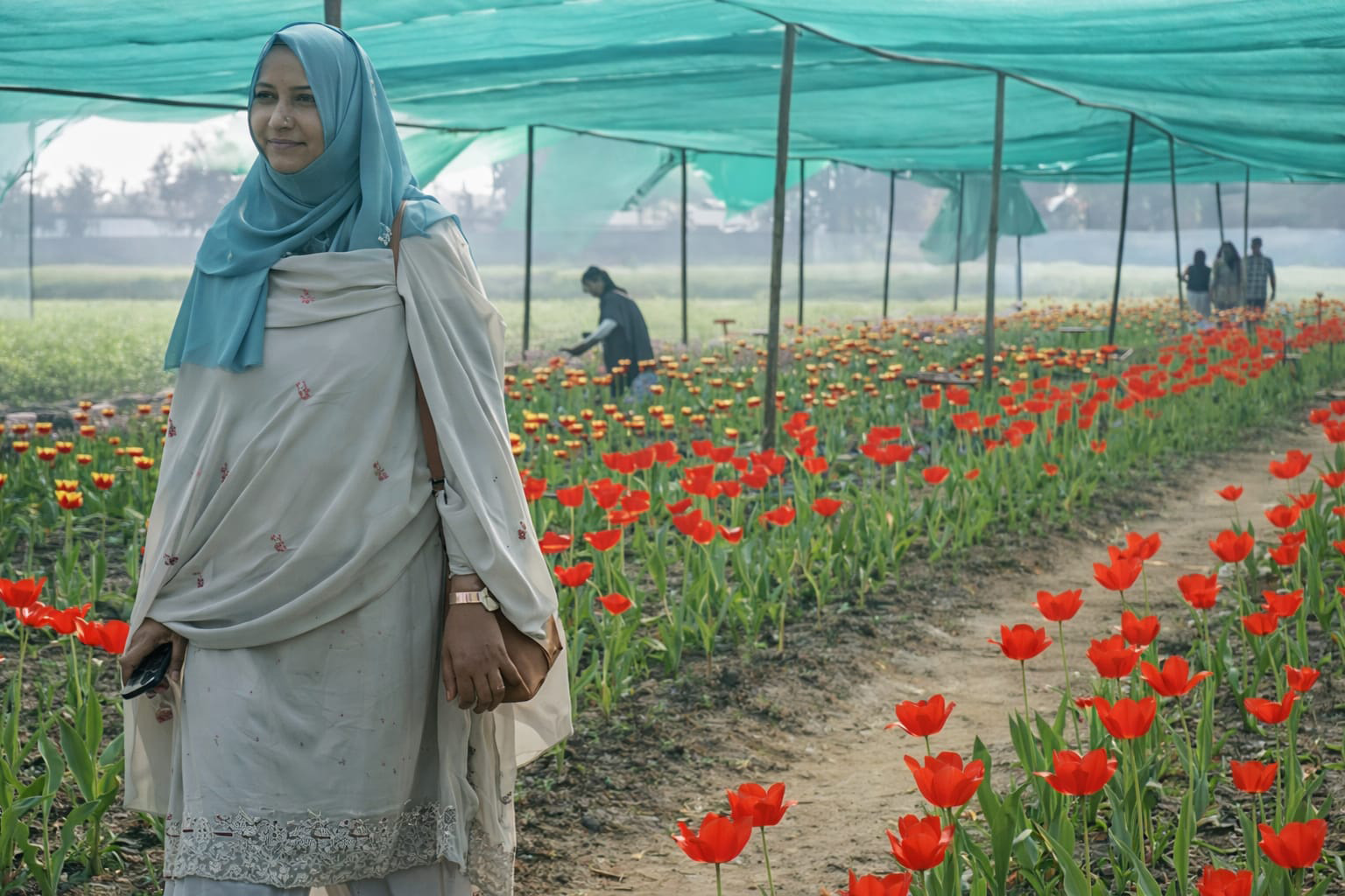 পঞ্চগড়ে টিউলিপে পর্যটনের নতুন দিগন্ত।