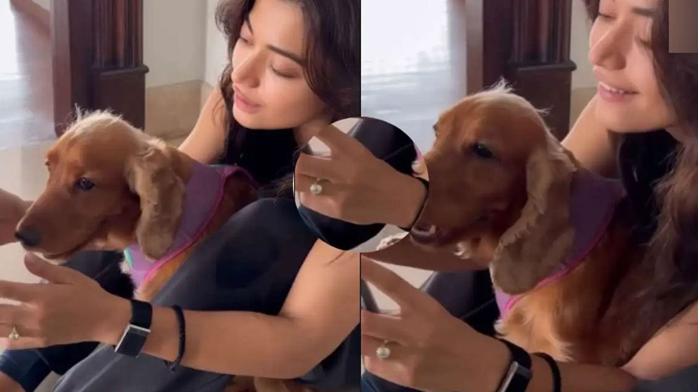 রাশমিকার হাতে বাগদানের আংটি।