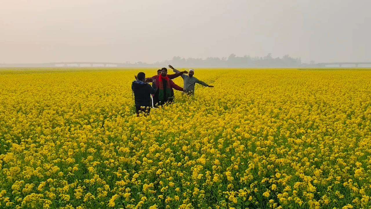 সরিষা ফুলের সৌন্দর্য উপভোগ করছেন কয়েকজন।
