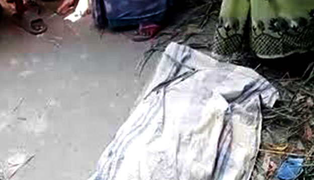 মানিকগঞ্জে পিকআপ-মোটরসাইকেলের মুখোমুখি সংঘর্ষে দুজন নিহত