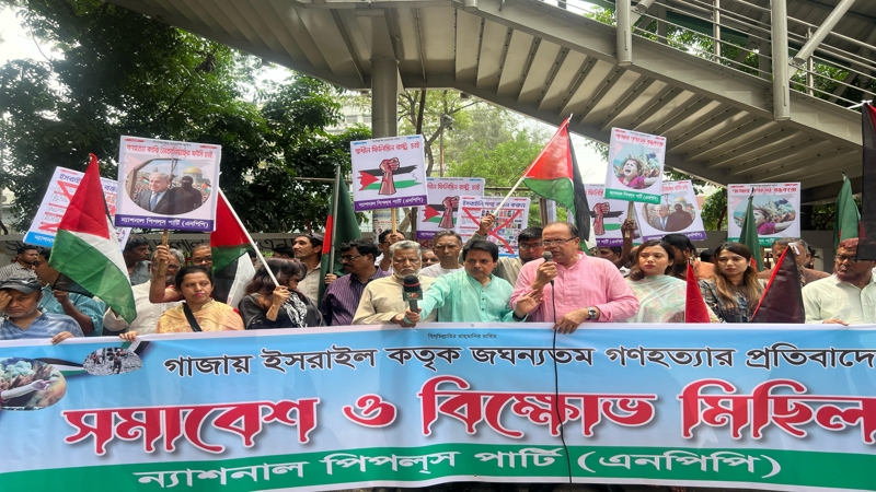 জাতিসংঘ-ওআইসির ভূমিকা নিয়ে এনপিপির প্রশ্ন