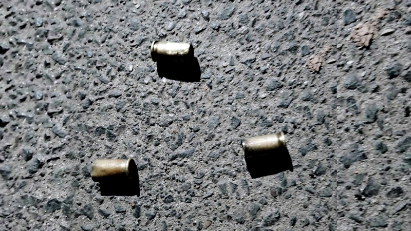 অস্ত্রের মহড়া, ফাঁকা গুলি ও ককটেল বিস্ফোরণ