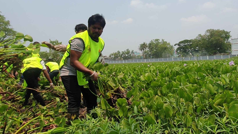 ক্লিনসিটি গড়তে যুবদল নেতার পরিচ্ছন্নতা অভিযান