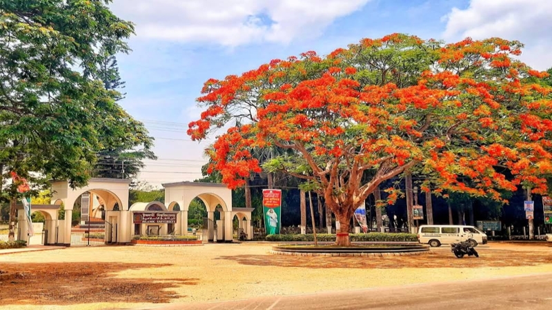 বাধ্যতামূলক ছুটিতে ইবি'র শিক্ষক হাফিজুল