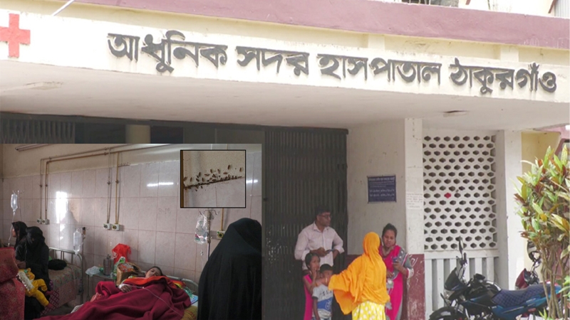 তেলাপোকা রাজত্ব, দুর্গন্ধে অতিষ্ঠ রোগীরা