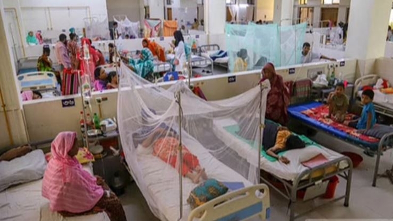 ডেঙ্গুতে আক্রান্ত আরও ১৩