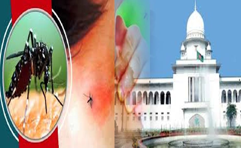 ডেঙ্গু নিয়ন্ত্রণে আদালতে রিট