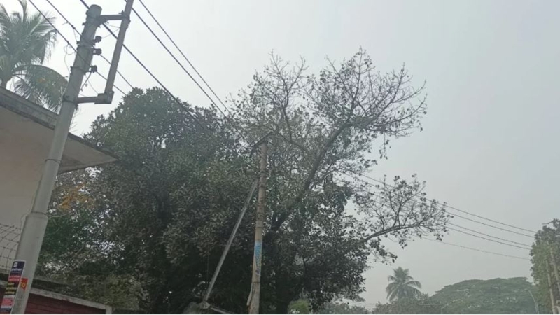 ঢাকা বিশ্ববিদ্যালয়ের গাছ থেকে ঝুলন্ত মরদেহ উদ্ধার