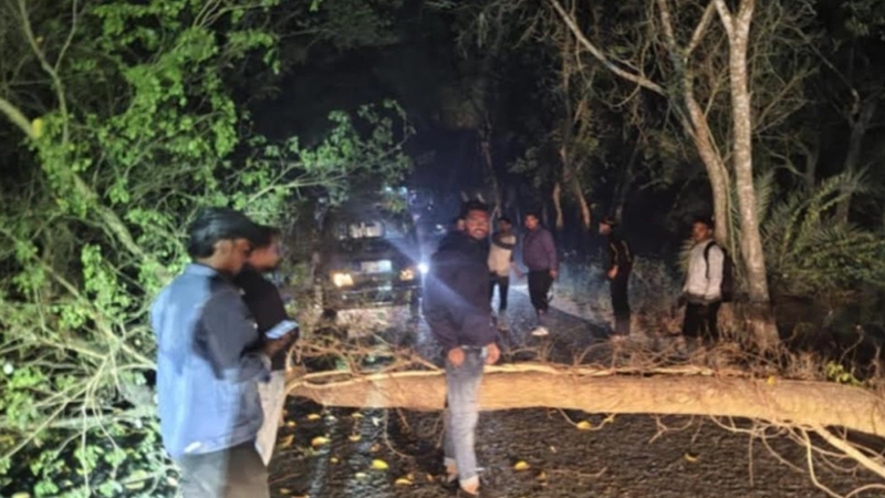 মধ্যরাতে রাস্তায় গাছ ফেলে ডাকাতি
