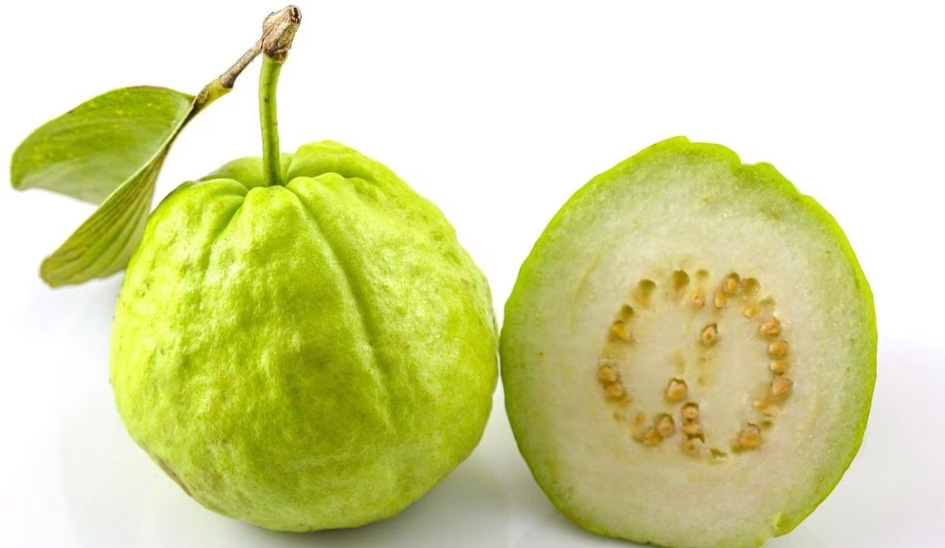 পেয়ারার বীজ খেলে কী হয় ?