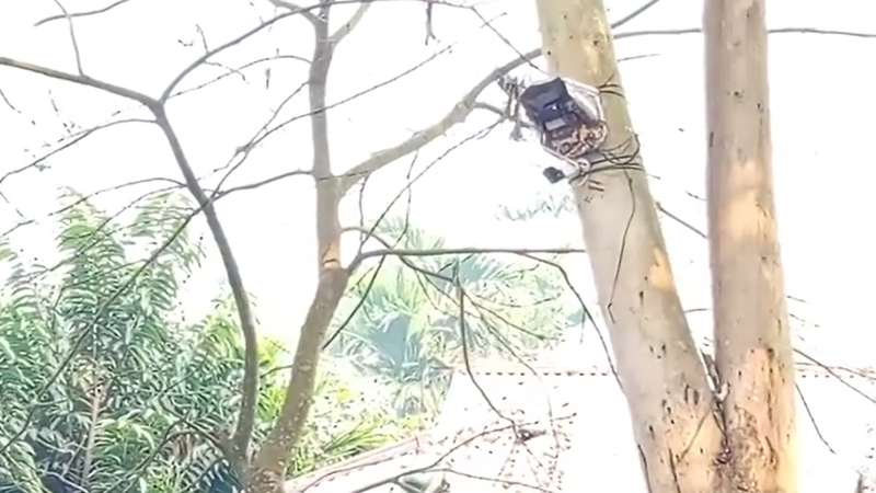 শূন্য রেখায় বিএসএফ’র সিসি ক্যামেরা স্থাপন