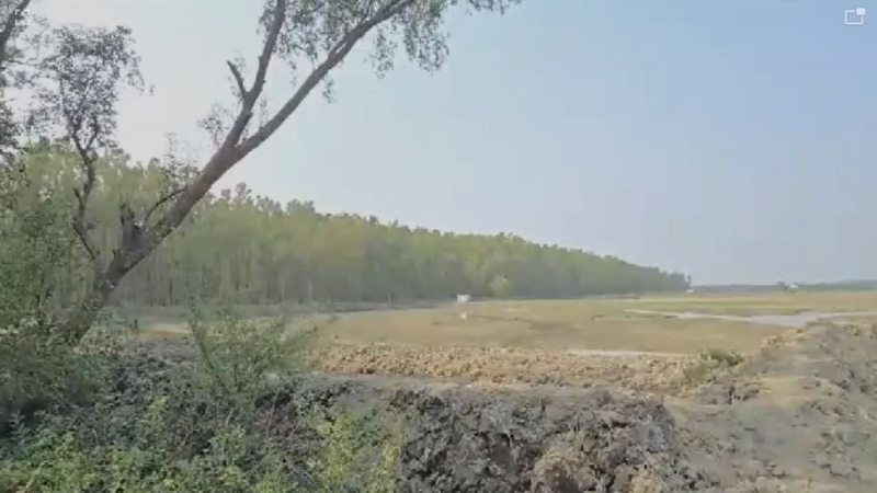 রাক্ষুসে থাবায় ধ্বংশ হচ্ছে বনের পরিধি, বাড়ছে ঘের