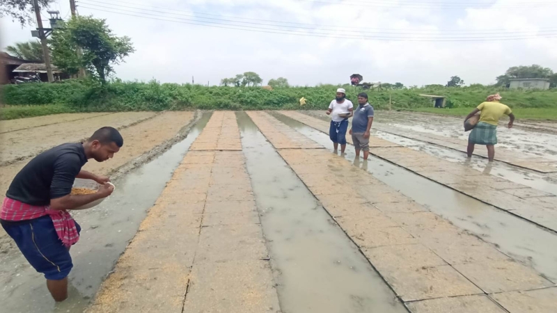 পবায় বাড়ছে কৃষি যন্ত্রপাতির ব্যবহার