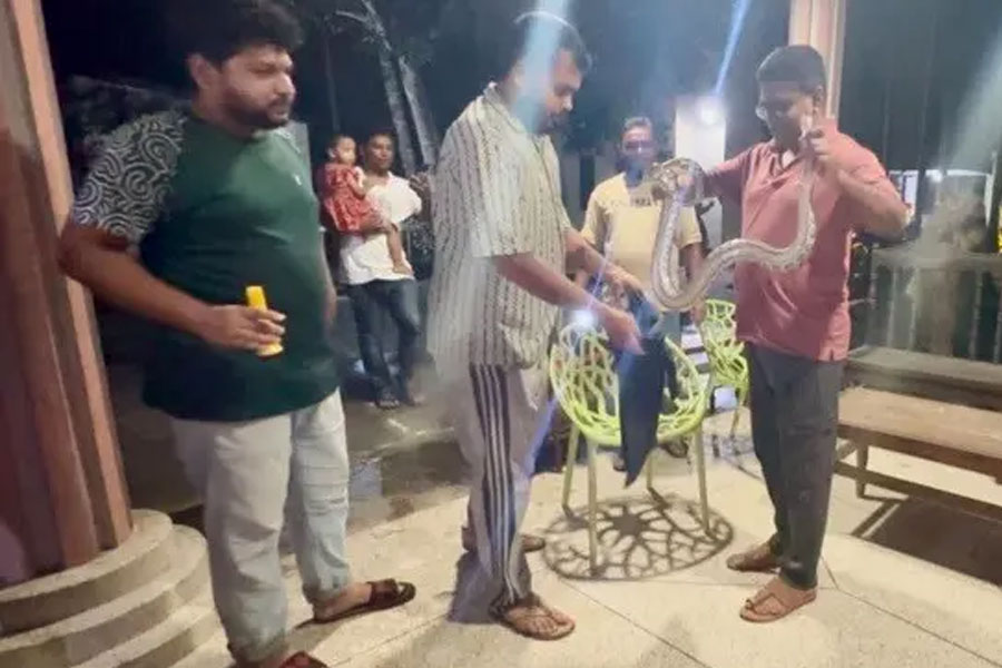 শ্রীমঙ্গলে বাসা থেকে অজগর উদ্ধার