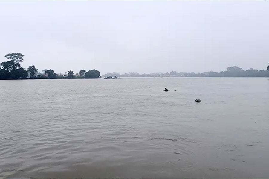 ফাইল ছবি