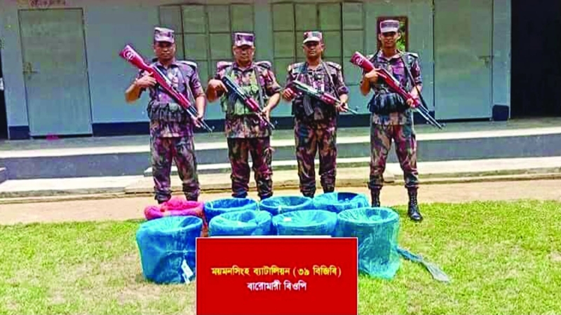শেরপুরে বিজিবির ভারতে পাচারকালে ৬৩ কেজি শিং মাছ জব্দ