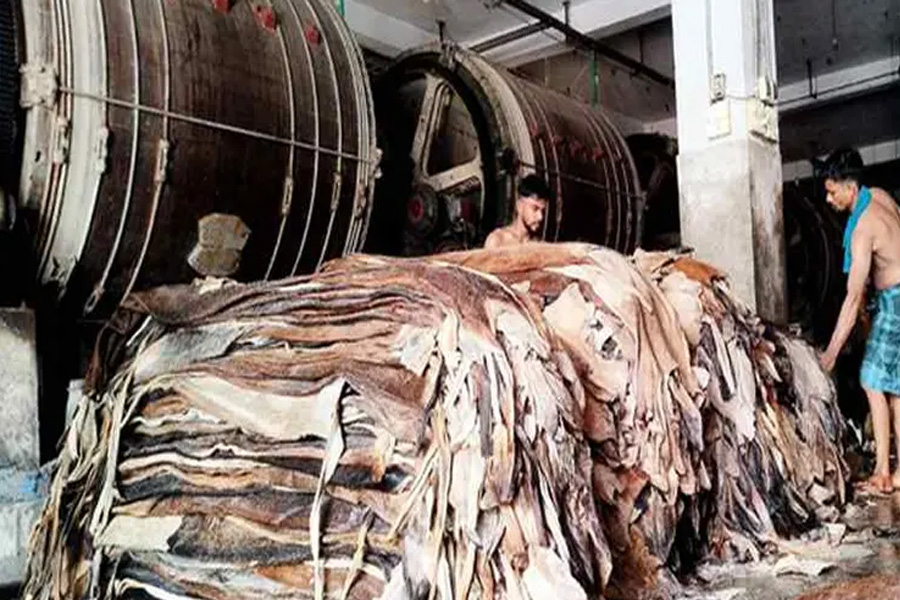 সাভার ট্যানারিতে ঢুকেছে ২ লাখের বেশি কাঁচা চামড়া
