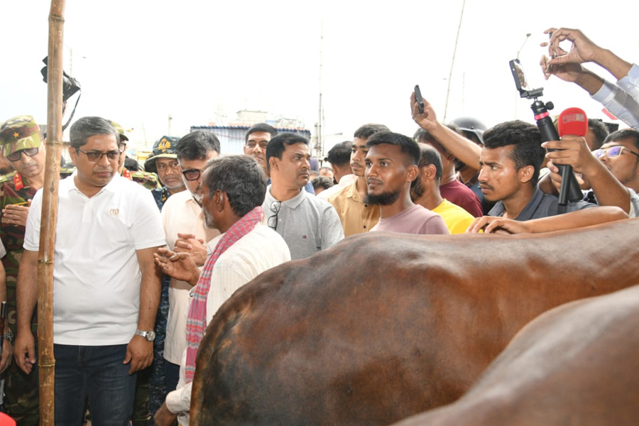কোরবানির পশু হাটের সার্বিক পরিবেশ সন্তোষজনক : প্রতিমন্ত্রী