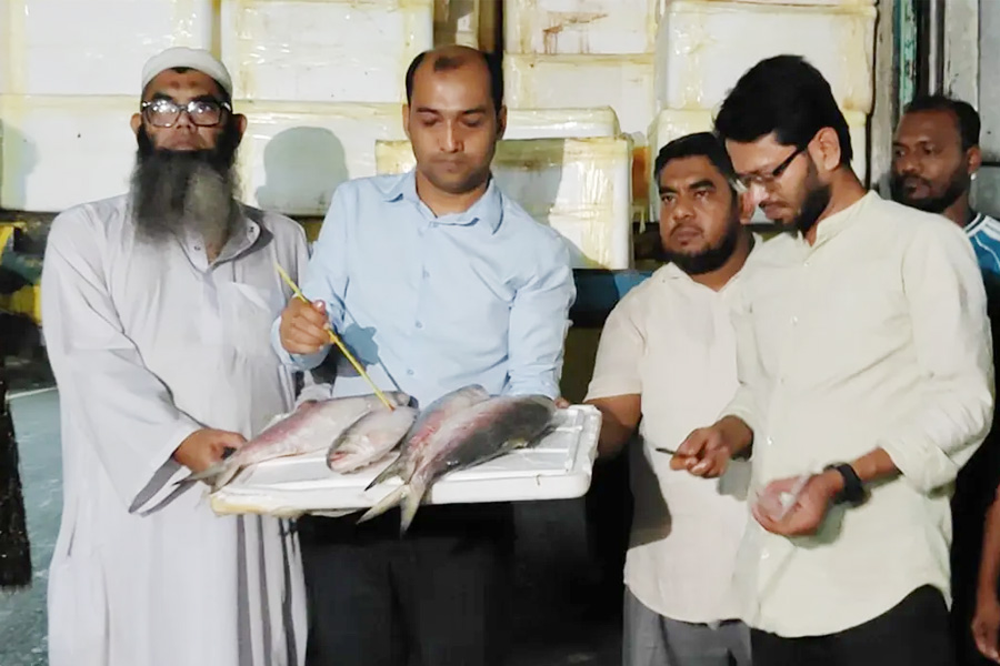 দুর্গাপূজা উপলক্ষে ভারতে ইলিশ রপ্তানি শুরু