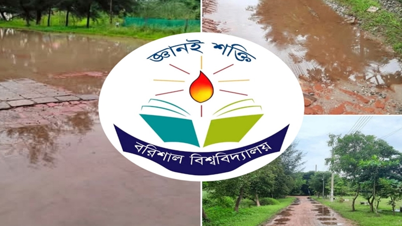 ববিতে জলাবদ্ধতায় ভোগান্তিতে শিক্ষার্থীরা