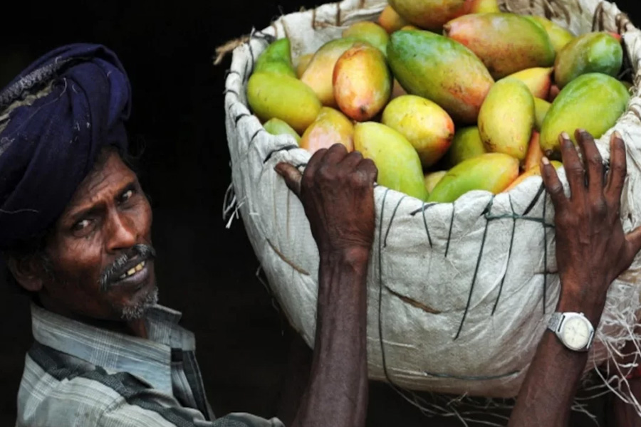 ভারতীয় আম আমদানিতে নিষেধাজ্ঞা জাপানের