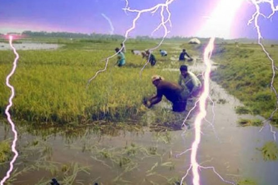 বজ্রপাতে চার জেলায় ৮ জনের মৃত্যু