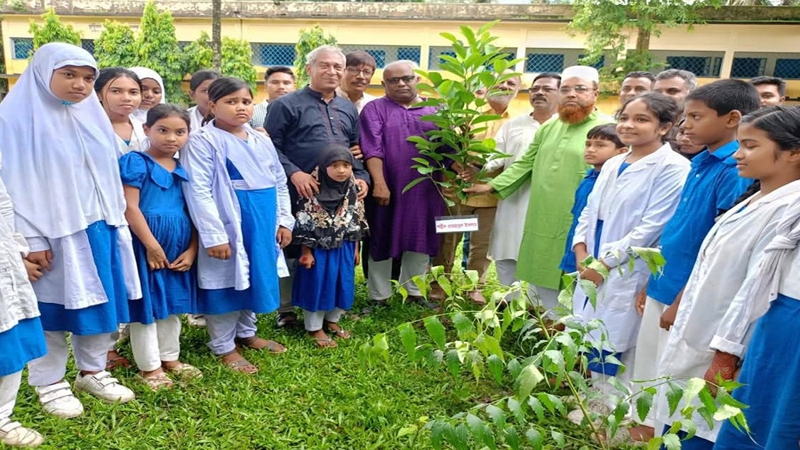 কুড়িগ্রামে কূষক দলের বৃক্ষরোপণ কর্মসূচি পালিত