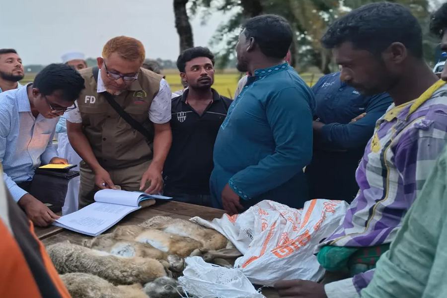 বন্য খরগোশ হত্যায় ৪ জনের কারাদণ্ড