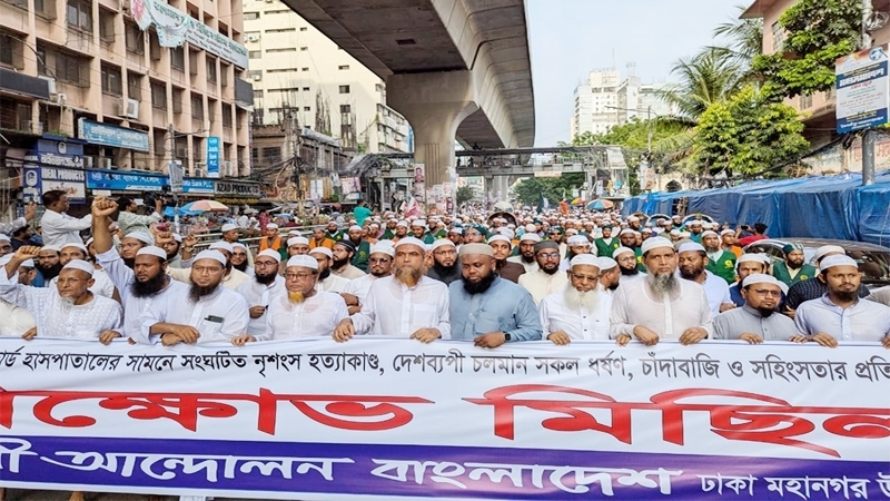 আগামী নির্বাচনে বিএনপিকে নিষিদ্ধ করতে হবে: আল-মাদানী