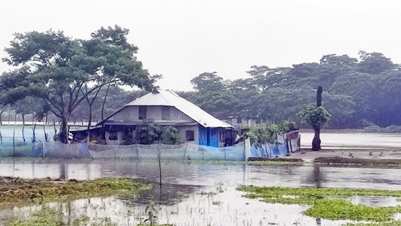 পাঁচদিনের বৃষ্টিতে দক্ষিণাঞ্চলে প্লাবন, ফসলের ব্যাপক ক্ষতি