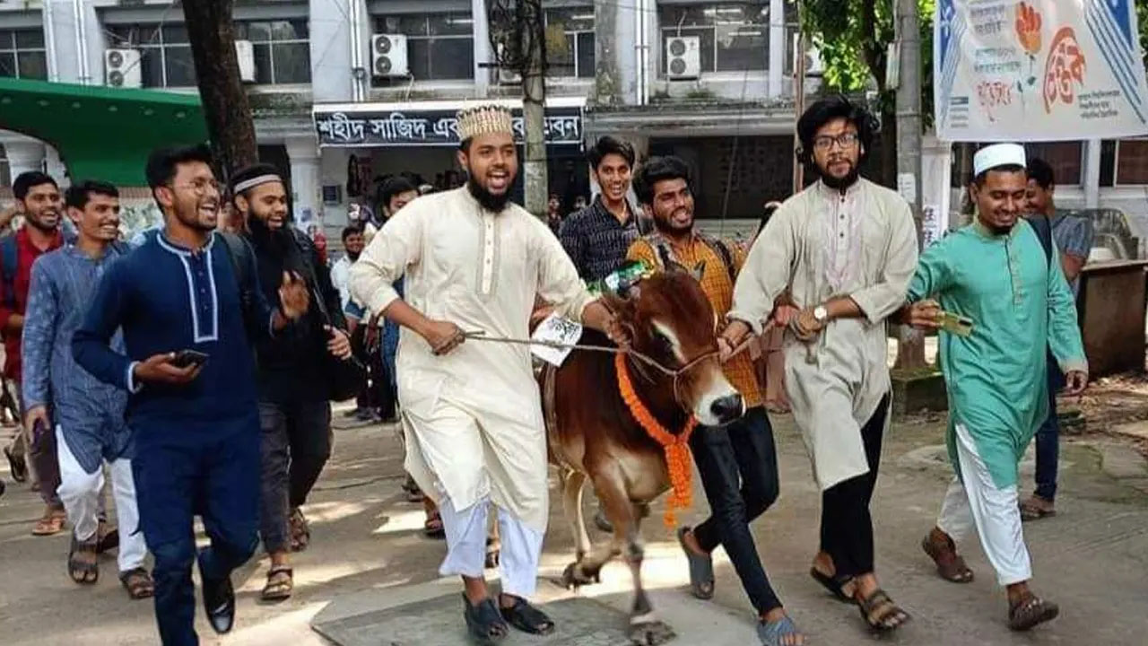 জুলাই বিপ্লবে বিজয়ের আনন্দে জবিতে গরুভোজ
