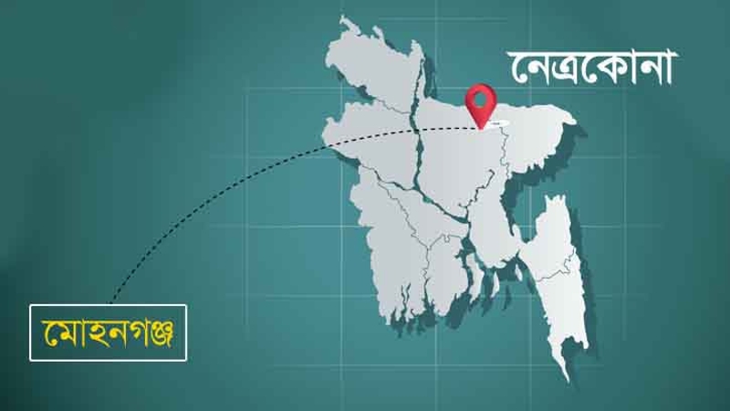 মোহনগঞ্জে মাকে হত্যার দায়ে ছেলের যাবজ্জীবন কারাদণ্ড