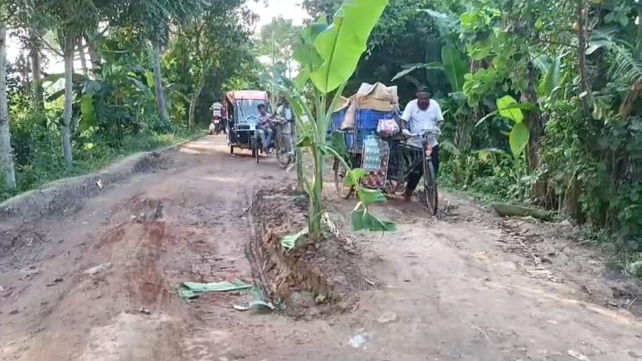 চলাচলের অনুপোযোগী হওয়ায় সড়কের মাঝখানে কলাগাছ লাগালেন -এলাকাবাসী