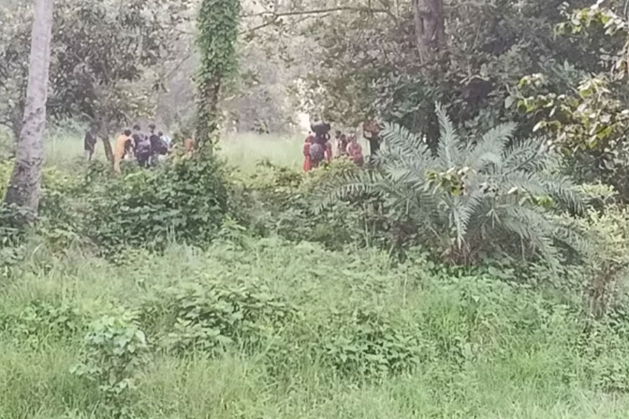 ২৮ জনকে শূন্যরেখায় ফেলে গেছে বিএসএফ