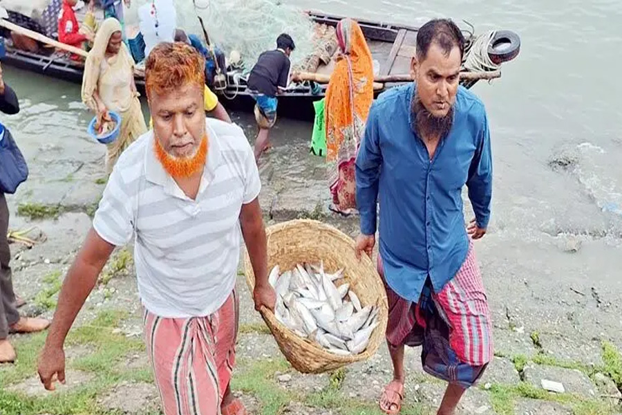 নিষেধাজ্ঞা শেষে ইলিশ শিকারে জেলেরা