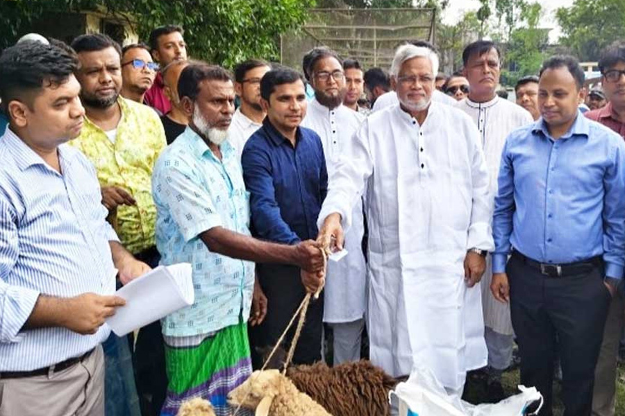 গ্রামীণ অর্থনীতিকে শক্তিশালী করলেই দেশ এগিয়ে যাবে : আমানউল্লাহ