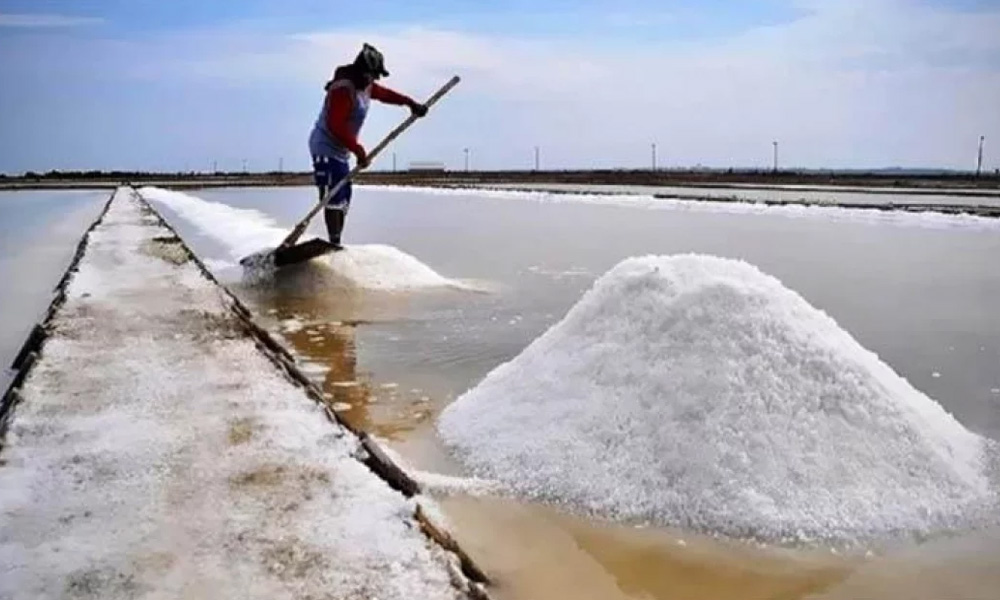 কারণ ছাড়াই লবণের বস্তায় বেড়েছে ৩৭০ টাকা