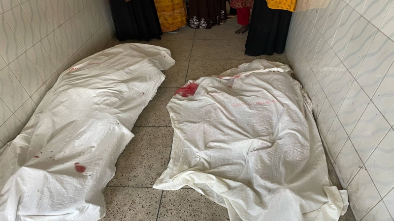 ঈশ্বরদীতে কাভার্ডভ্যান চাপায় মা-মেয়েসহ ৩ জন নিহত