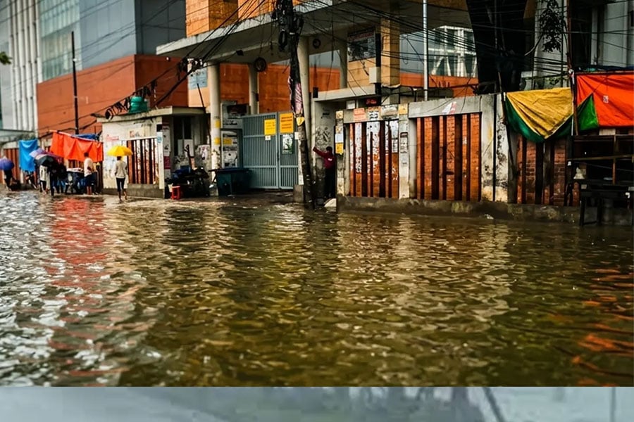 ফাইল ছবি