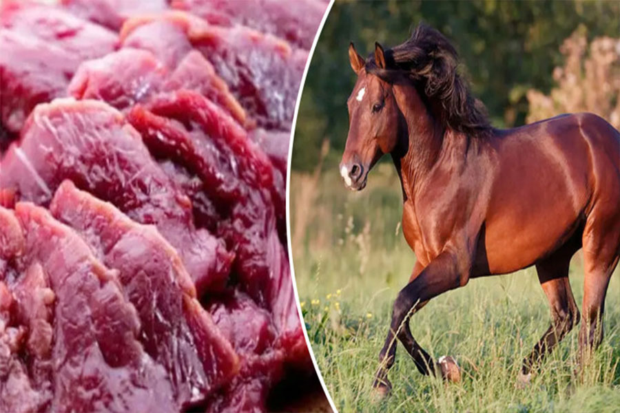 গরুর মাংস বলে ঘোড়ার মাংস বিক্রি, একজনের জেল-জরিমানা