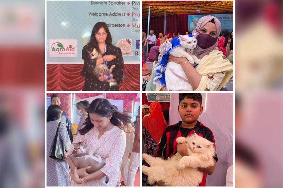 বাকৃবিতে ক্যাট শো, উচ্ছ্বাসে মাতলেন বিড়ালপ্রেমীরা