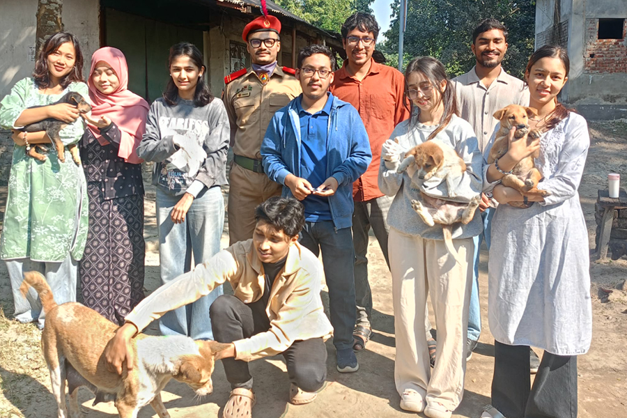 বিজয় দিবসে পথপ্রাণীদের ডিওয়ার্মিং ক্যাম্পেইন এএসবির