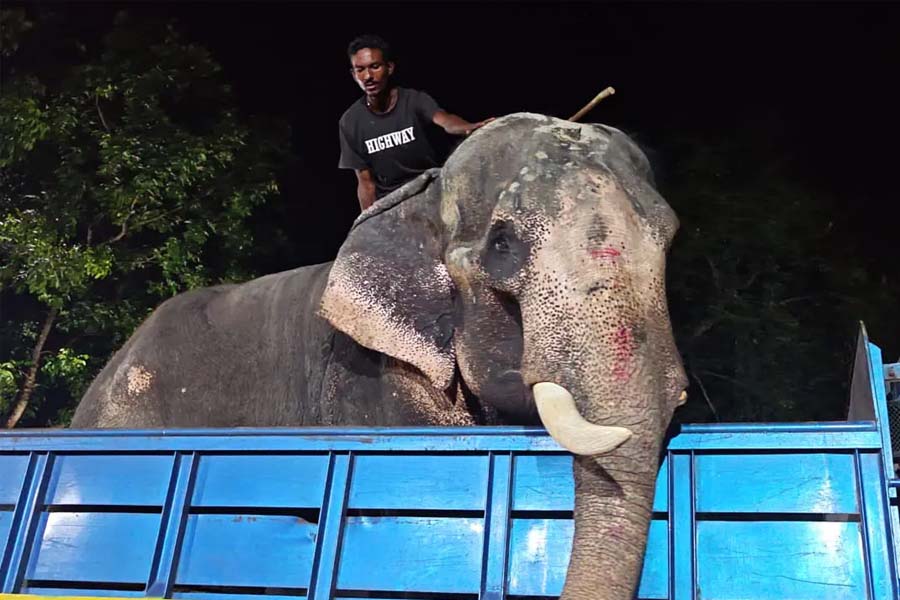 ছবি: সংগৃহীত