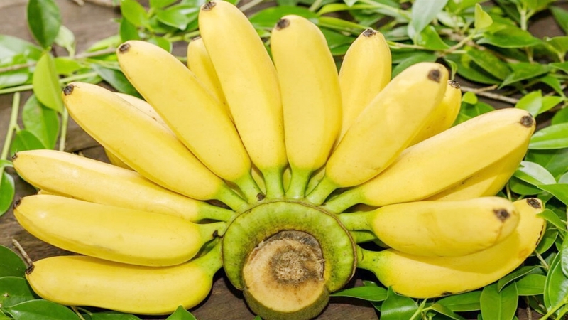 প্রতিদিন একটি কলা খেলে মিলবে ৭ উপকারিতা