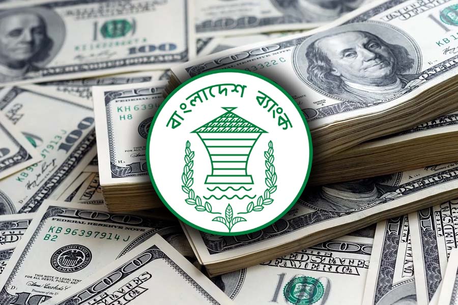 চলতি মাসে ৪৬০ মিলিয়ন ডলার কিনেছে কেন্দ্রীয় ব্যাংক