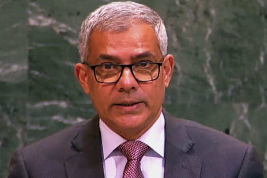 রাষ্ট্রদূত সালাহউদ্দিন নোমান চৌধুরী। ছবি: সংগৃহীত