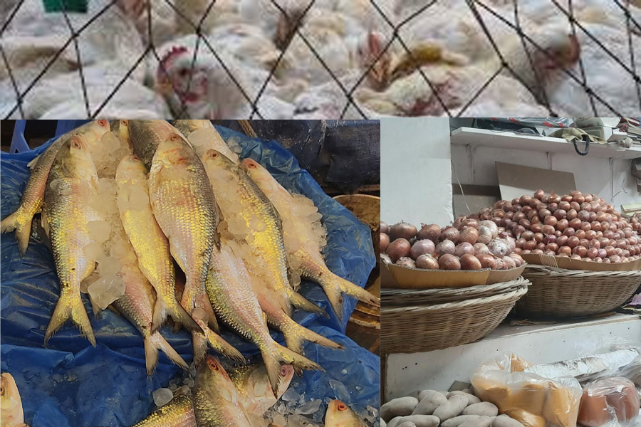 ব্রয়লার ১৬৫, ভরা মৌসুমেও ইলিশের দাম চড়া