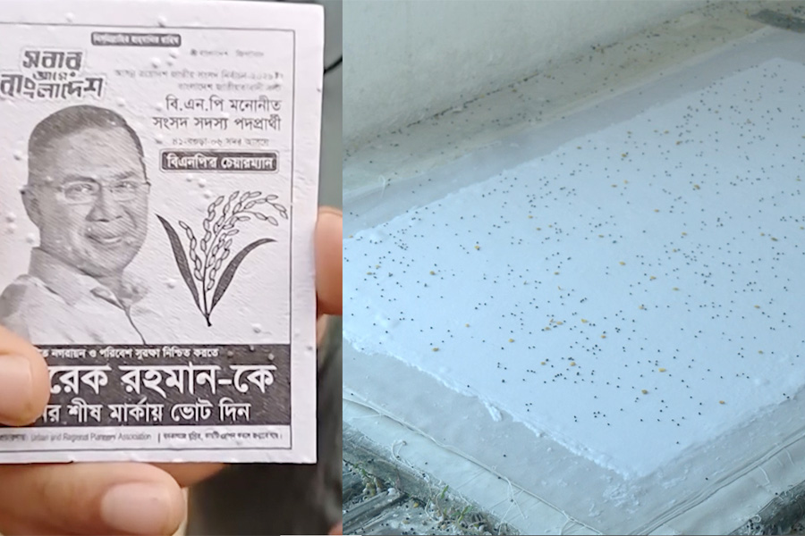 ভোটের প্রচারণায় ‘বনকাগজ’, লিফলেট থেকে জন্ম নেবে গাছ