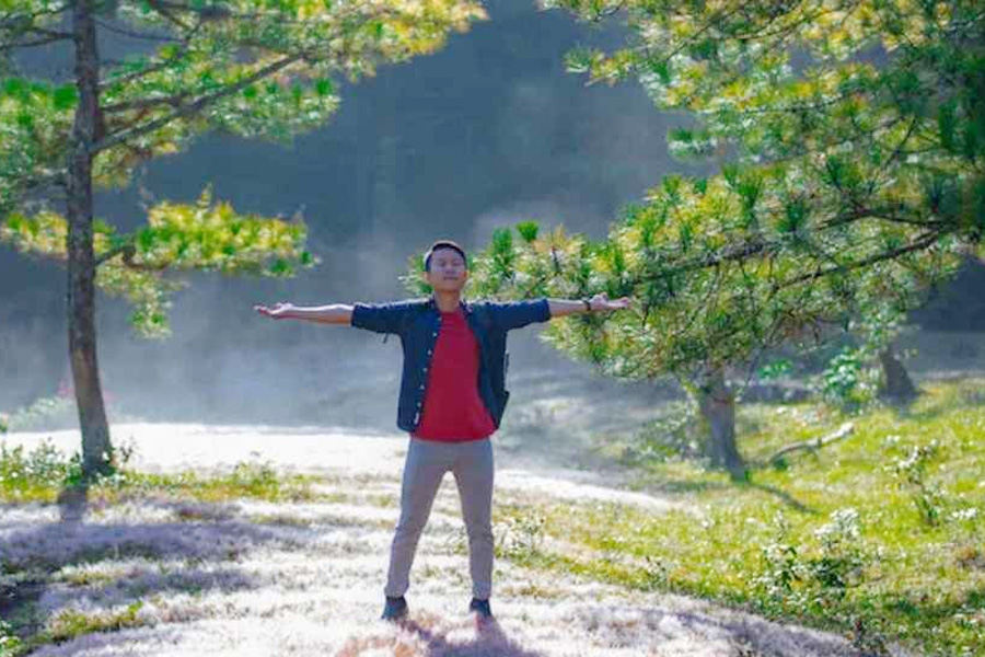 মস্তিষ্কের কর্মক্ষমতা বাড়াতে “দিনের আলো” মহৌষধ